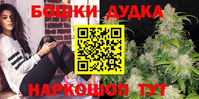 индика Коммунар